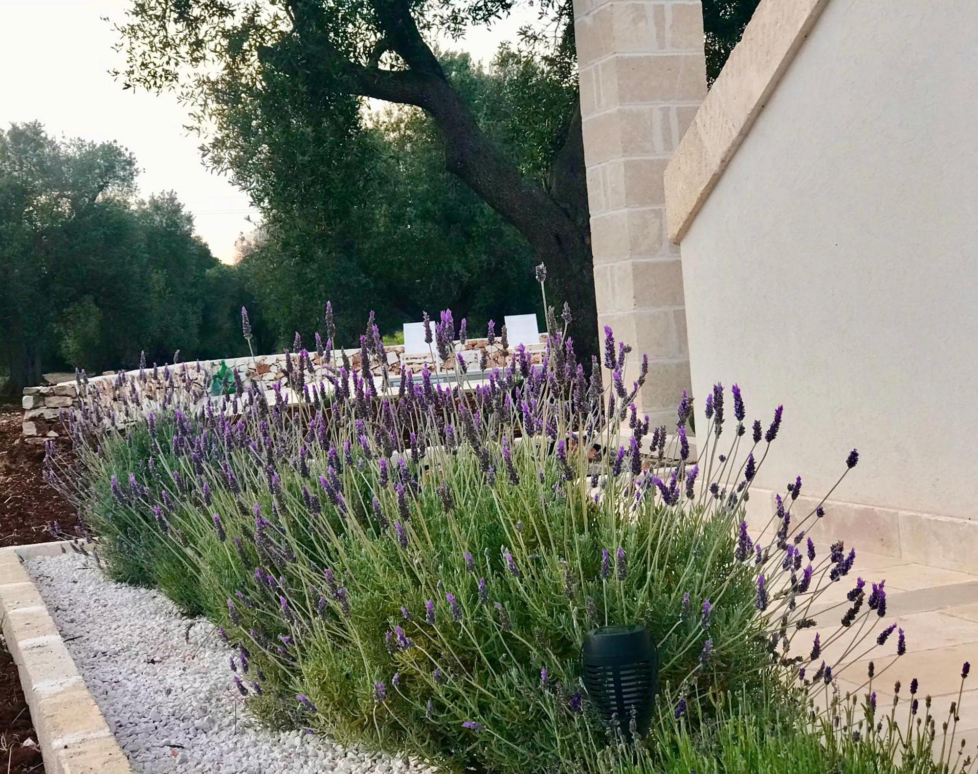 Tenuta La Pomona Ostuni Bagian luar foto